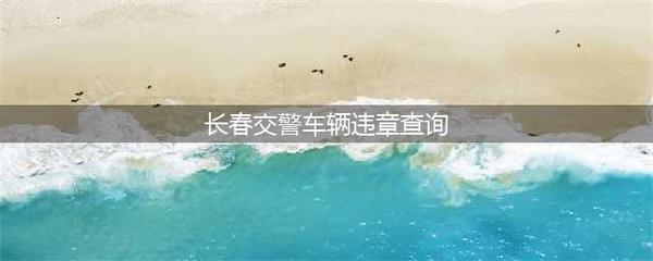 长春交警网违章查询,长春交警网违章查询1